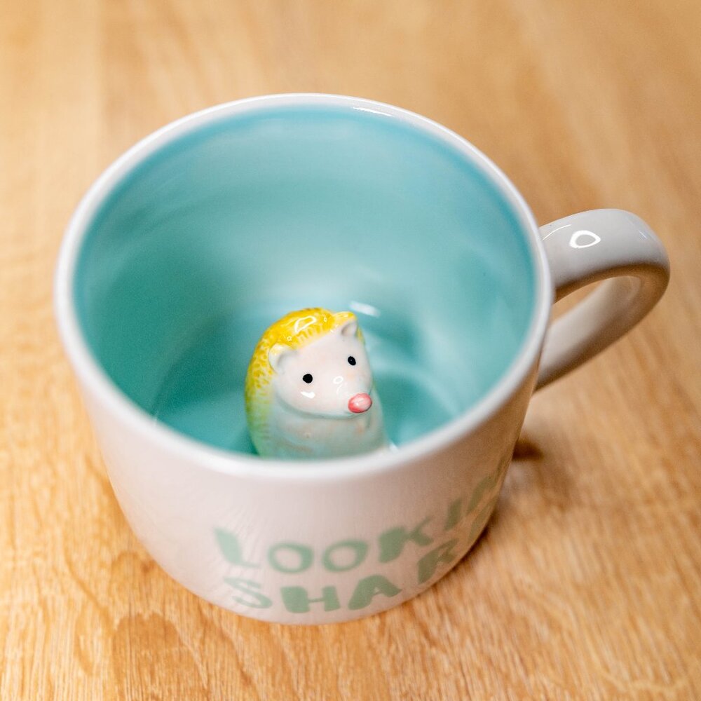 CLEARANCE Lookin’ Sharp Hedgehog Mug Whimsical Cupboard Ceramic Cup